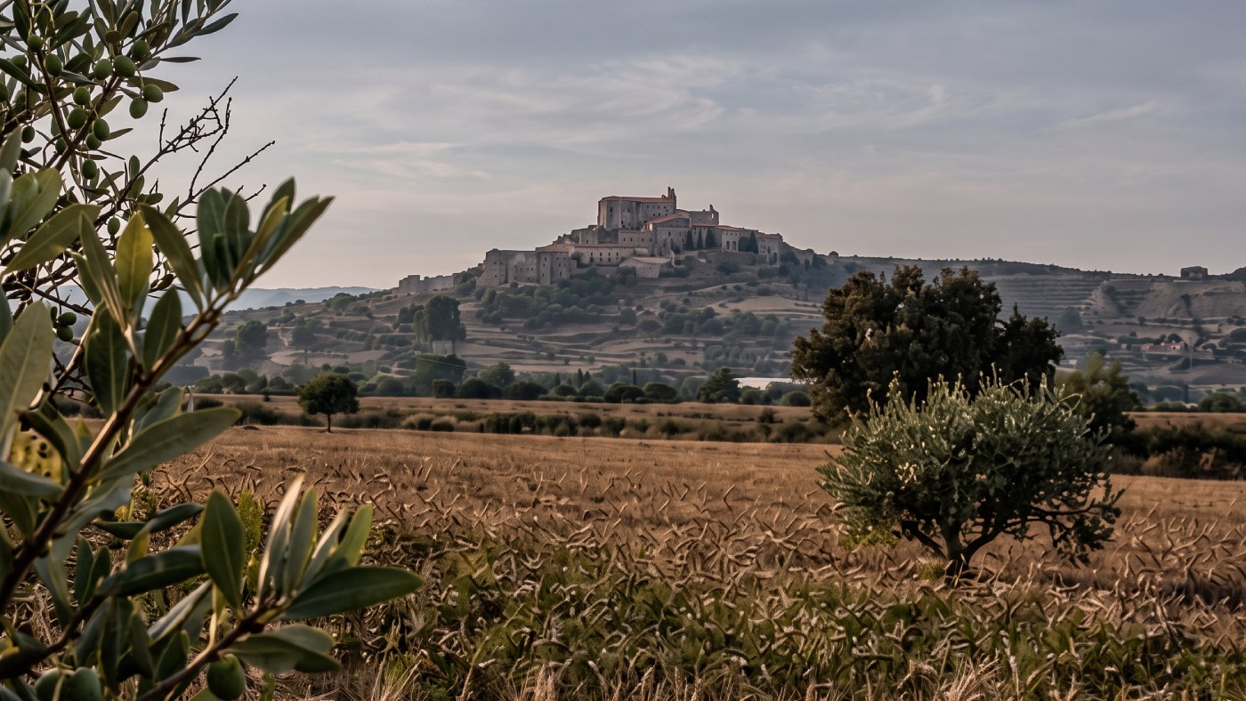 Paisatge del territori de Lleida